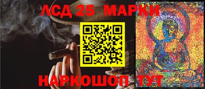 гидра Ставрополь
