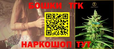 гидра Ставрополь
