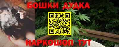 гидра Ставрополь