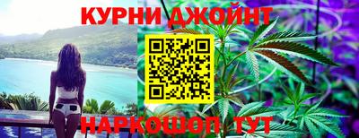 гидра Ставрополь