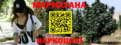 гидра Ставрополь