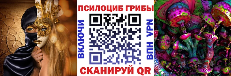 МЕГА как зайти  магазин  наркотиков  Электрогорск  сайты даркнета официальный сайт  Псилоцибиновые грибы Magic Shrooms 