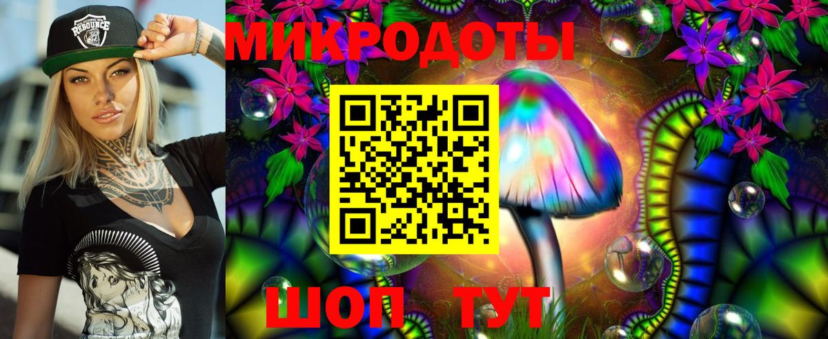 Псилоцибиновые грибы Psilocybine cubensis Электрогорск
